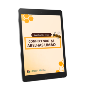 Lestrimelitta limao: conhecendo as abelhas limão